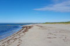 Agder - Farsund - Havika