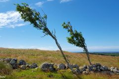 Agder - Farsund - Penne
