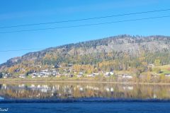 Buskerud - Ål