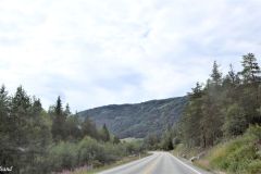Buskerud - Ål