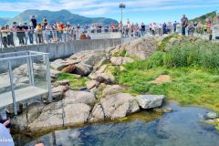 Møre og Romsdal - Ålesund - Atlanterhavsparken - Det Norske Akvariet