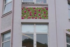 Møre og Romsdal - Ålesund