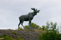 Nordland - Alstahaug - Skulptur - Elgen (Skule Waksvik, 2000)