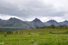 Nordland - Alstahaug - De sju søstre