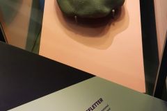 Troms og Finnmark - Alta - Hjemmeluft - Alta Museum - Verdensarvsenter for bergkunst