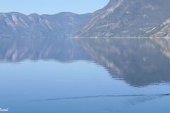 Sogn og Fjordane - Årdal - Sognefjorden