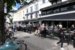 Agder - Arendal - Sentrum - Pollen