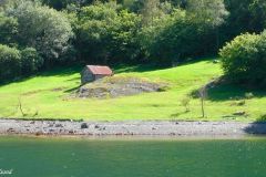 Sogn og Fjordane - Aurland - Nærøyfjorden - Ferjesambandet Kaupanger-Gudvangen