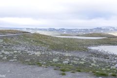 Sogn og Fjordane - Aurland - Aurlandsfjellet