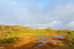Hordaland - Austevoll - Stolmen - Grøntua