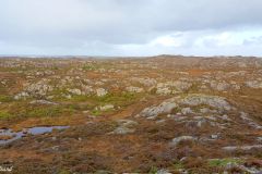 Hordaland - Austevoll - Stolmen - Grøntua
