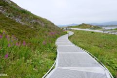 Møre og Romsdal - Averøy - Atlanterhavsveien - Fv64 - Lyngholmen - Svevestien