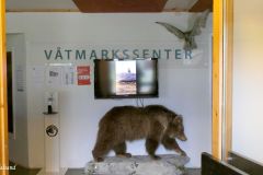 Troms og Finnmark - Balsfjord - Storsteinnes - Balsfjord Fjordmuseum og Våtmarksenter