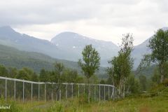 Troms og Finnmark - Bardu - Polar Park