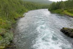 Troms og Finnmark - Bardu - Polar Park - Salangselva