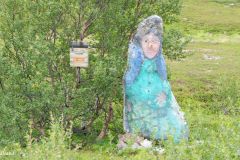 Troms og Finnmark - Båtsfjord - Syltefjorddalen
