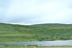Troms og Finnmark - Båtsfjord - Syltefjorddalen