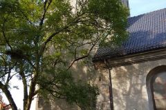 Hordaland - Bergen - Korskirken