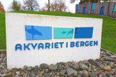 Hordaland - Bergen - Akvariet
