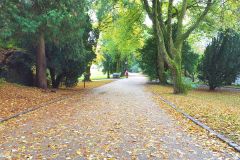 Hordaland - Bergen - Nygårdsparken