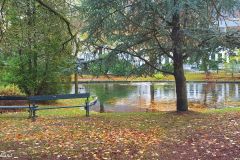 Hordaland - Bergen - Nygårdsparken