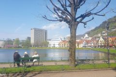 Hordaland - Bergen - Lille Lungegårdsvann