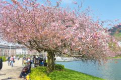 Hordaland - Bergen - Lille Lungegårdsvann