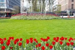 Hordaland - Bergen - Byparken