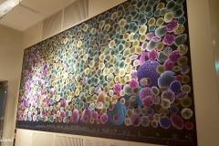 Hordaland - Bergen - Universitetsmuseet i Bergen - Naturhistorie