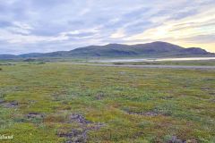 Troms og Finnmark - Berlevåg - Skonsvika