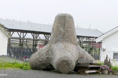 Troms og Finnmark - Berlevåg - Sentrum - Skulptur - Tetrapod (bestanddel av molo)