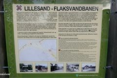 Agder - Birkenes - Birkeland - Kopi av lokomotiv fra Lillesand-Flaksvandbanen