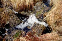 Rogaland - Bjerkreim - Faureknuten - Detalj fra Grolidalen