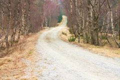 Rogaland - Bjerkreim - Veien langs Romsvatnet og Stølsvatnet