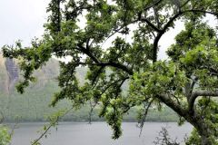 Rogaland - Bjerkreim - Ørsdalsvatnet - Dyrskog