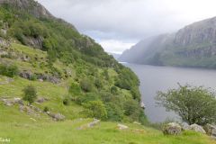 Rogaland - Bjerkreim - Ørsdalsvatnet - Dyrskog