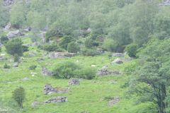 Rogaland - Bjerkreim - Ørsdalsvatnet - Kalveskog
