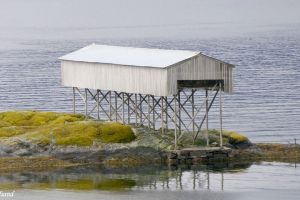 Bjørnafjorden