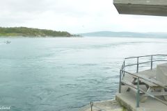 Nordland - Bodø - Saltstraumen