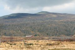 Innlandet - Dovre - Hjerkinn