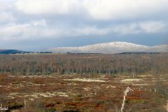Innlandet - Dovre