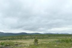 Innlandet - Dovre