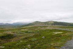 Innlandet - Dovre - Hjerkinn - På vei inn til Viewpoint Snøhetta