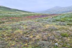 Innlandet - Dovre - Hjerkinn - Tverrfjellet gruver