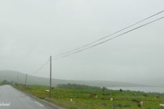 Innlandet - Dovre - Hjerkinnsdammen