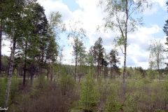 Innlandet - Eidskog