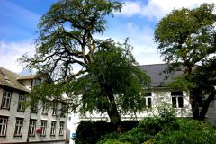 Rogaland - Eigersund - Egersund sentrum