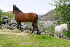 Rogaland - Eigersund - Den gamle Jærbanen - Hellvik