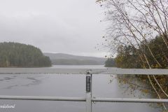 Agder - Evje og Hornnes - Otra - Fv403