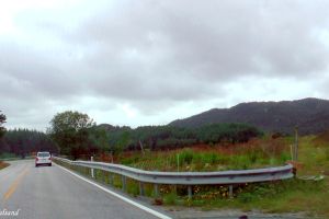 Fitjar